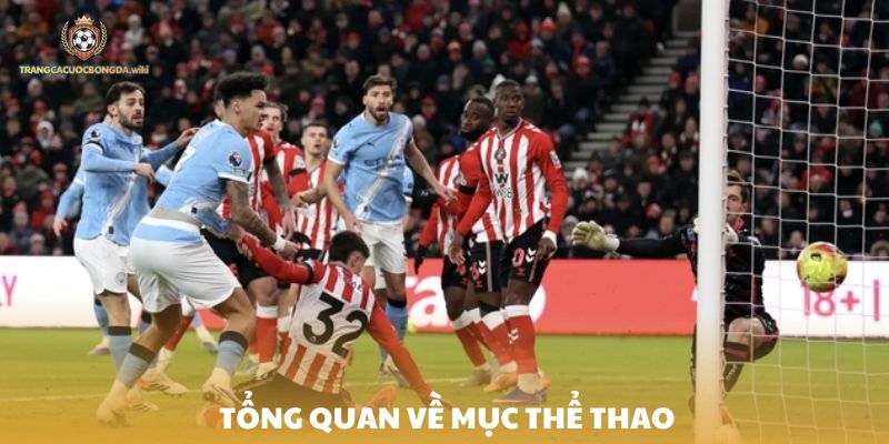 Tổng quan về chuyên mục thể thao