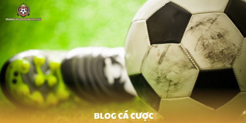 Vì sao nên chọn blog cá cược để đọc tin cá độ bóng đá
