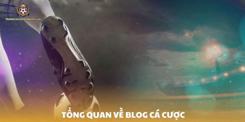 Tổng quan về blog cá cược