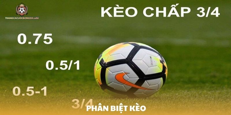 Cách để phân biệt kèo 0.75 với các loại kèo khác