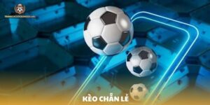 Kèo Chẵn Lẻ là gì? Kinh nghiệm và cách chơi