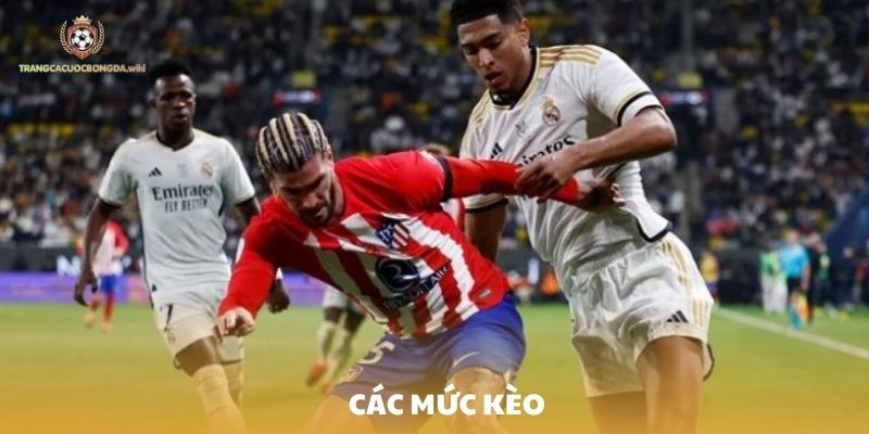 Các mức kèo chấp phổ biến tại trang cá cược bóng đá