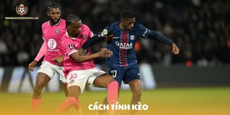 Cách tính kèo Rung hiệu quả