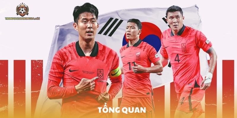 Tổng quan về kèo tài xỉu trên các trang web cá độ bóng đá