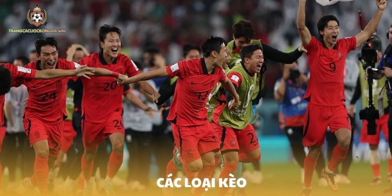 Các loại kèo tài xỉu trên các trang cá cược bóng đá