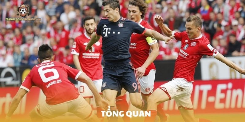 Tổng quan về kèo Châu Âu trên các trang cá độ bóng đá