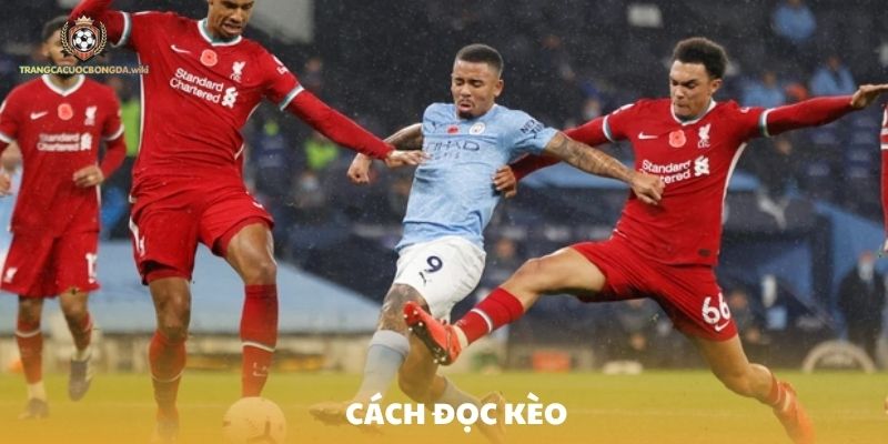 Cách đọc tỷ lệ kèo Châu Âu trên các trang cá độ bóng đá